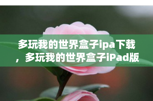 多玩我的世界盒子ipa下载图片