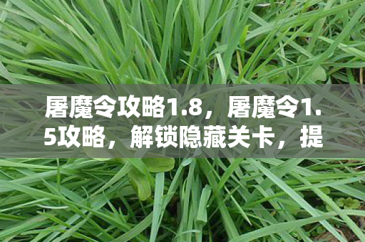 屠魔令攻略1图片