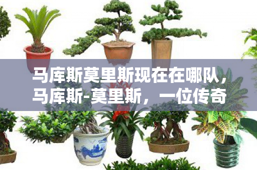 马库斯莫里斯现在在哪队，马库斯-莫里斯，一位传奇人物的崛起与影响