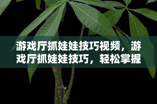 游戏厅抓娃娃技巧视频图片