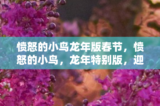 愤怒的小鸟龙年版春节图片