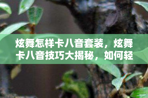 如何轻松掌握炫舞中的八音技巧图片