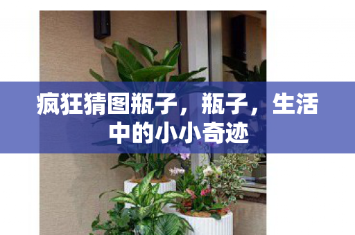 生活中的小小奇迹图片