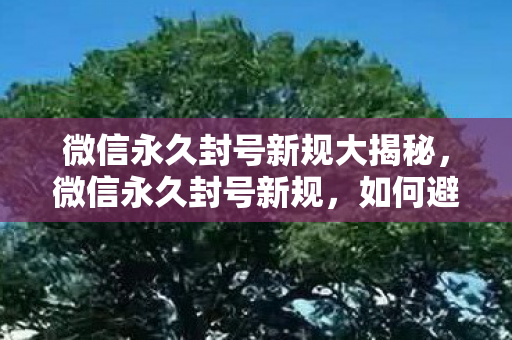 如何避免被封号及应对措施图片