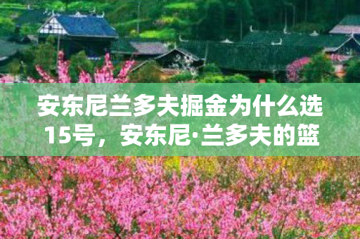 安东尼兰多夫掘金为什么选15号，安东尼·兰多夫的篮球之路，从街头到NBA的华丽转身