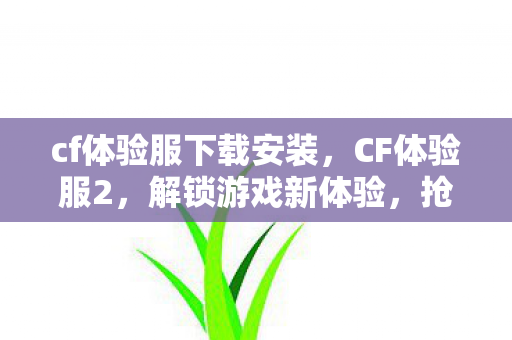 cf体验服下载安装图片