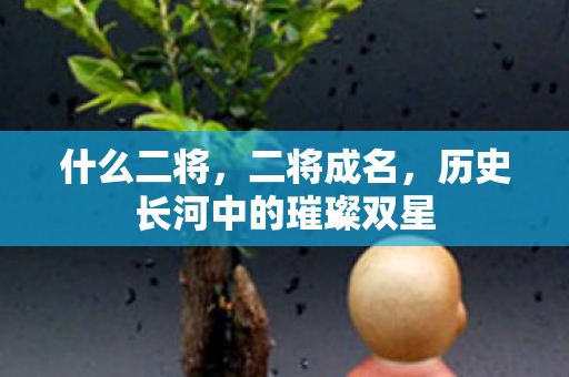 历史长河中的璀璨双星图片