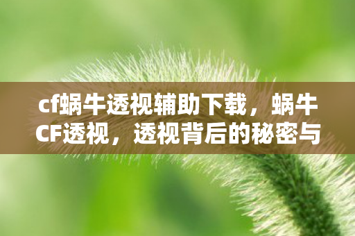 透视背后的秘密与游戏公平性探讨图片