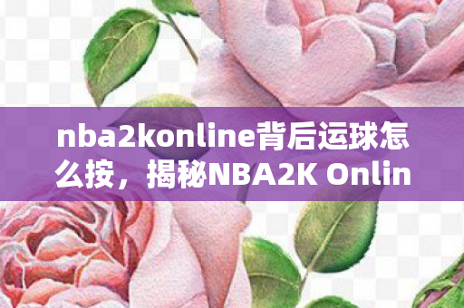nba2konline背后运球怎么按，揭秘NBA2K Online背后运球技巧，轻松提升实战能力！