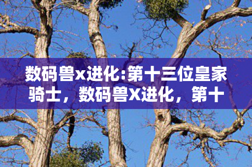 第十位皇骑士的神秘面纱图片