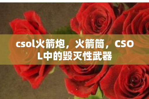 CSOL中的毁灭性武器图片