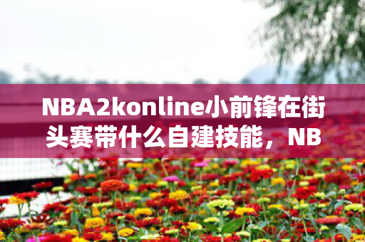 NBA2konline小前锋在街头赛带什么自建技能，NBA2K Online小前锋，攻略与战术解析