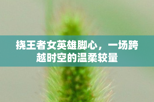 一场跨越时空的温柔较量图片