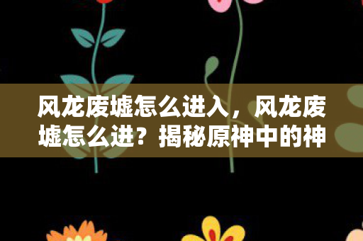 揭秘原神中的神秘之地图片