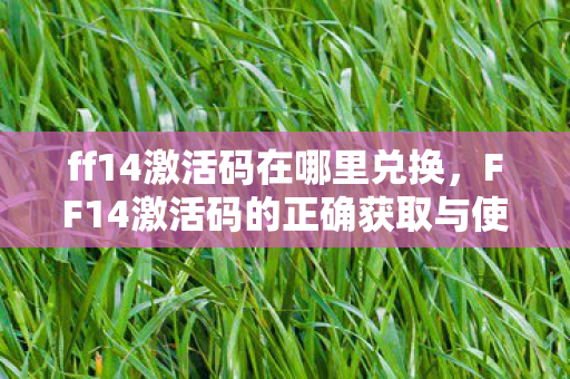 FF14激活码的正确获取与使用指南图片