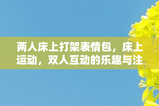 双人互动的乐趣与注意事项图片