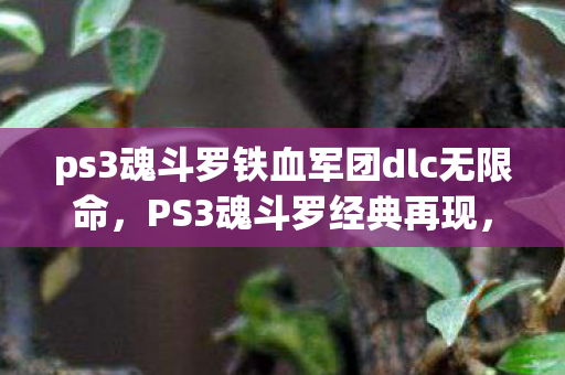 ps3魂斗罗铁血军团dlc无限命图片