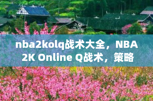 nba2kolq战术大全，NBA 2K Online Q战术，策略与运用