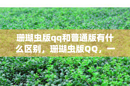 珊瑚虫版qq和普通版有什么区别图片
