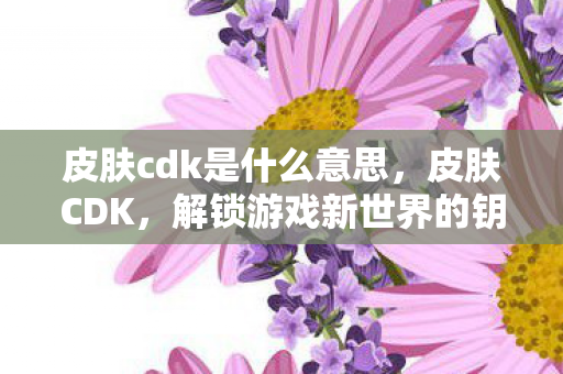 皮肤cdk是什么意思图片