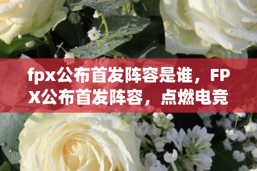 fpx公布首发阵容是谁图片