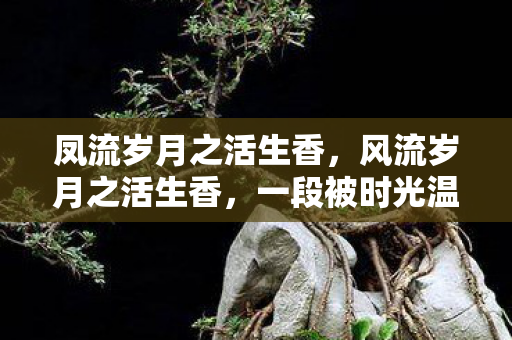 一段被时光温柔以待的故事图片