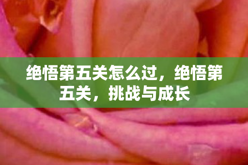 绝悟第五关怎么过图片