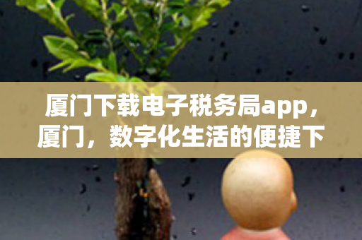 厦门下载电子税务局app图片