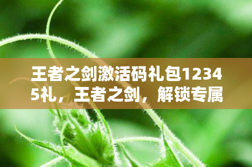 王者之剑激活码礼包12345礼图片