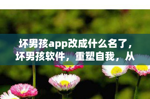 坏男孩app改成什么名了图片