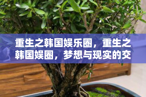 重生之韩国娱乐圈图片