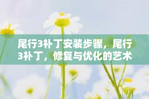 尾行3补丁安装步骤图片