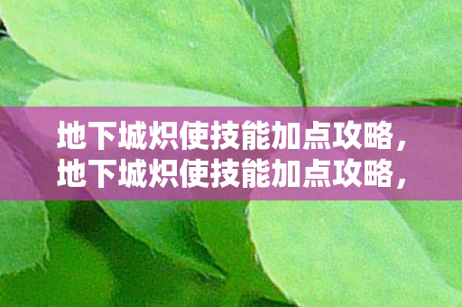 地下城炽使技能加点攻略图片