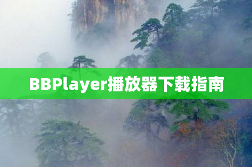 BBPlayer播放器下载指南 BBPlayer播放器下载指南