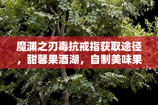 魔渊之刃毒抗戒指获取途径图片