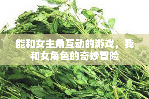 能和女主角互动的游戏图片