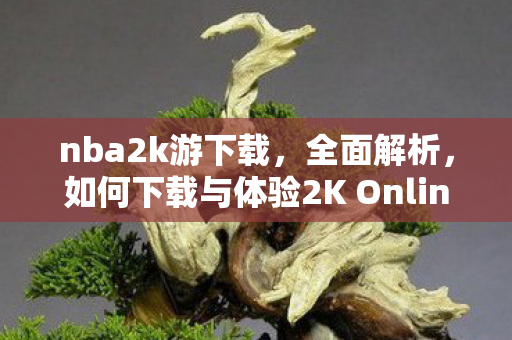 nba2k游下载，全面解析，如何下载与体验2K Online游戏