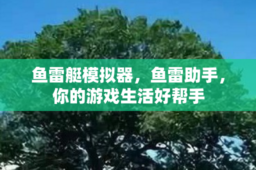 你的游戏生活好帮手图片