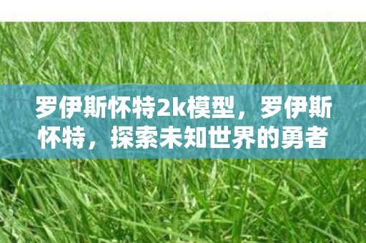 罗伊斯怀特2k模型，罗伊斯怀特，探索未知世界的勇者之心