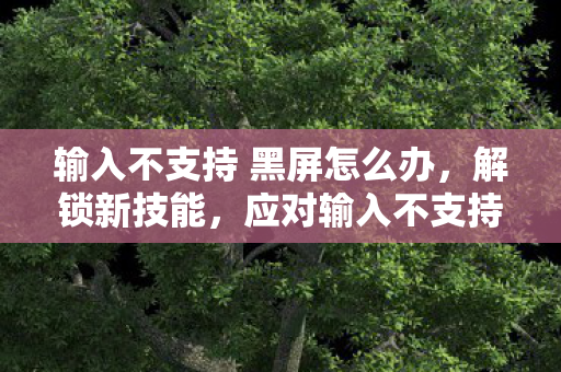 应对输入不支持的实用技巧图片