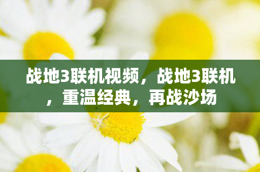 战地3联机视频图片