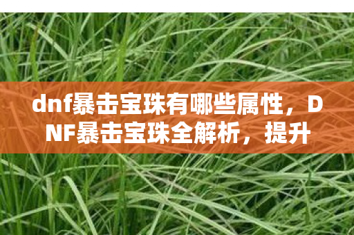 dnf暴击宝珠有哪些属性图片