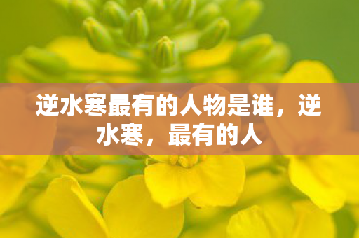 逆水寒最有的人物是谁图片