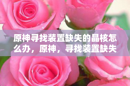 原神寻找装置缺失的晶核怎么办图片