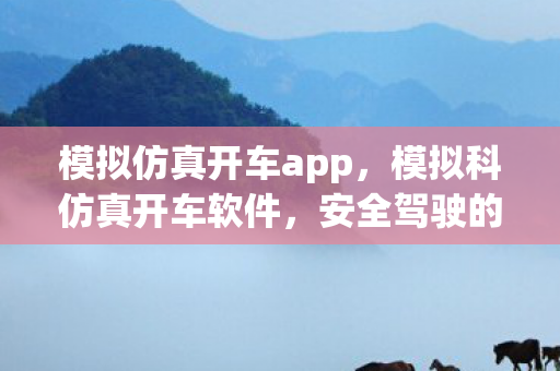 模拟仿真开车app图片