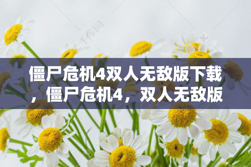 僵尸危机4双人无敌版下载，僵尸危机4，双人无敌版的末日生存挑战