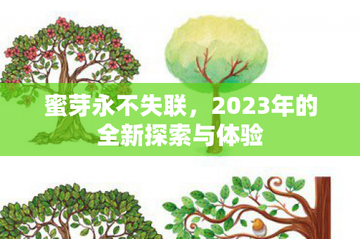 2023年的全新探索与体验图片