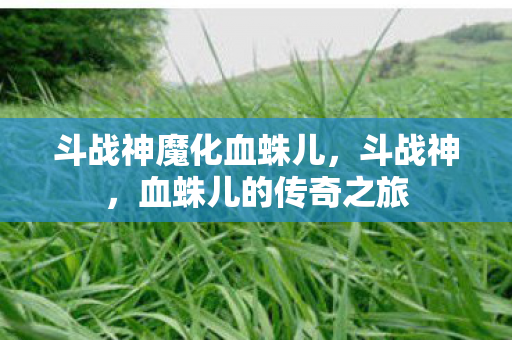 斗战神魔化血蛛儿图片