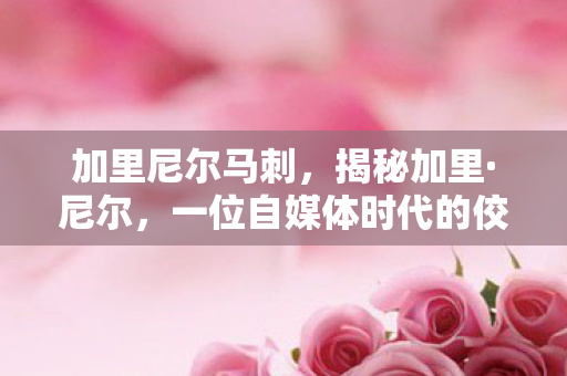 加里尼尔马刺，揭秘加里·尼尔，一位自媒体时代的佼佼者