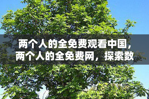 两个人的全免费观看中国，两个人的全免费网，探索数字时代的免费资源之旅